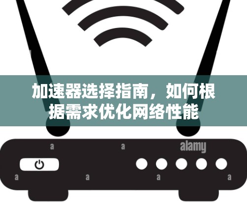 加速器选择指南，如何根据需求优化网络性能