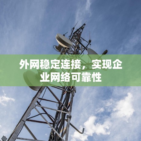 外网稳定连接，实现企业网络可靠性