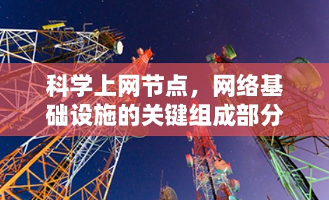 科学上网节点,网络基础设施的关键组成部分