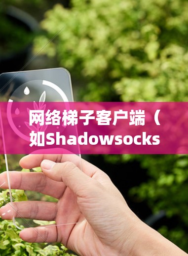 网络梯子客户端（如Shadowsocks）是一种工具，帮助用户绕过网络限制访问互联网。以下是详细的解决方法