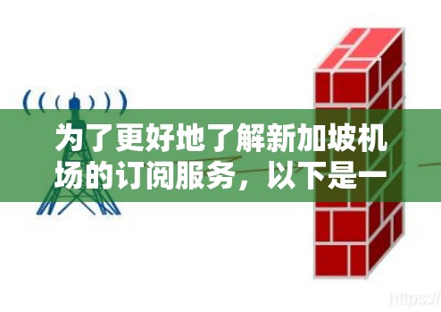 为了更好地了解新加坡机场的订阅服务,以下是一些详细的信息和建议