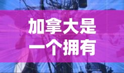加拿大是一个拥有众多城市和省份的国家,每个城市通常都有自己的机场。以下是一些主要的加拿大机场