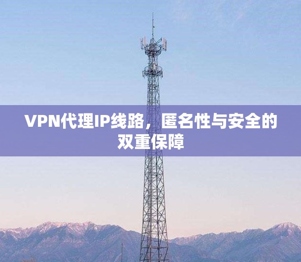 VPN代理IP线路,匿名性与安全的双重保障