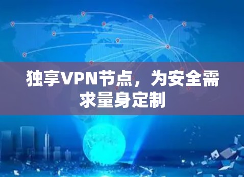 独享VPN节点,为安全需求量身定制