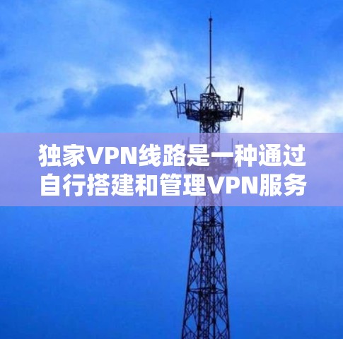 独家VPN线路是一种通过自行搭建和管理VPN服务器,提供高度自定义和安全的网络连接方式。以下是关于独家VPN线路的详细分析