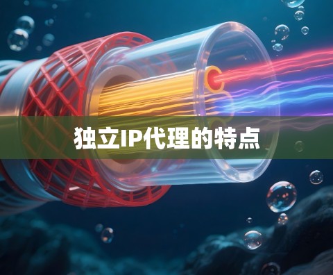 独立IP代理的特点