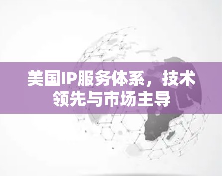 美国IP服务体系,技术领先与市场主导