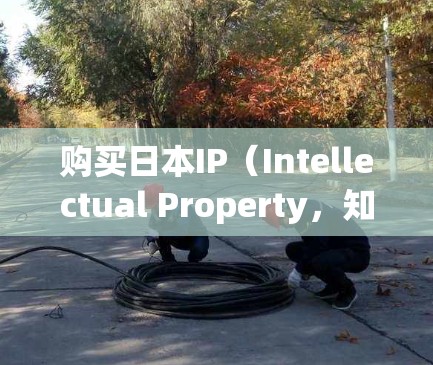 购买日本IP（Intellectual Property，知识产权）可能涉及多个方面，具体取决于您希望购买的内容。以下是一些常见的日本IP购买相关信息和建议