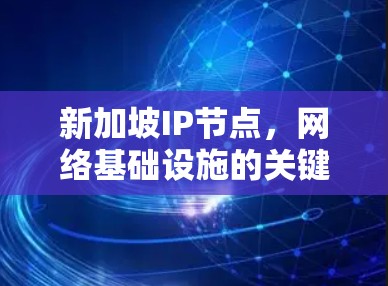 新加坡IP节点，网络基础设施的关键组成部分