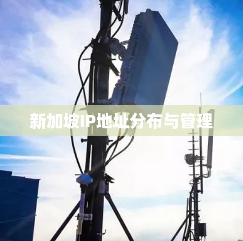 新加坡IP地址分布与管理