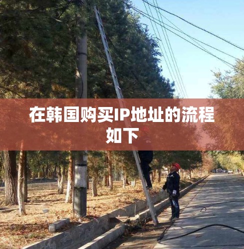 在韩国购买IP地址的流程如下