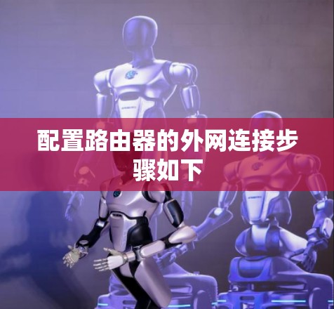配置路由器的外网连接步骤如下 配置路由器的外网连接步骤如下
