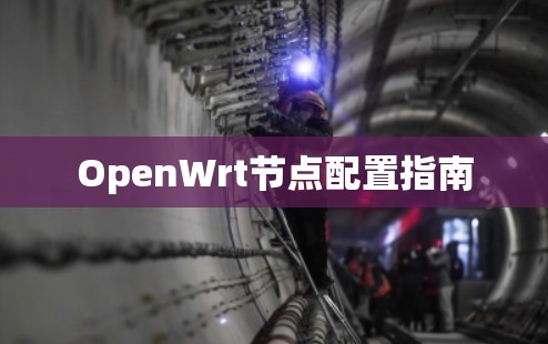 OpenWrt节点配置指南
