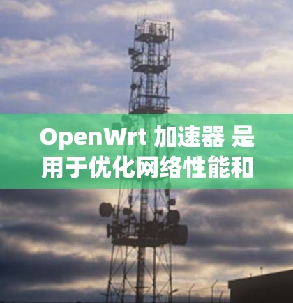 OpenWrt 加速器 是用于优化网络性能和安全的重要工具，通过启用特定功能可以提升路由器的处理能力和防护力。以下是如何配置和使用这些加速器的步骤