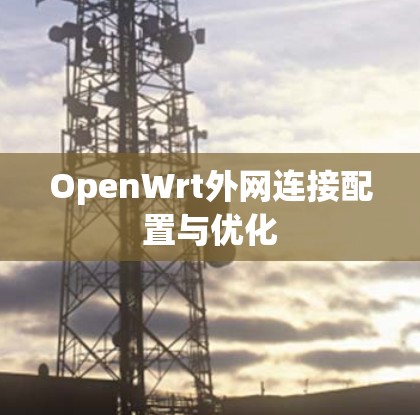 OpenWrt外网连接配置与优化