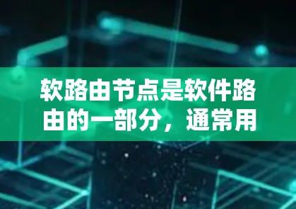 软路由节点是软件路由的一部分，通常用于管理和控制网络流量。与硬路由不同，软路由节点主要负责路由信息的配置、路由策略的制定以及流量的调度和优化。以下是一些关键点