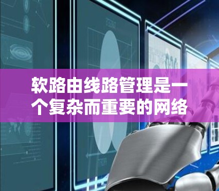 软路由线路管理是一个复杂而重要的网络管理任务，涉及多个方面的配置和优化。以下是对软路由线路管理的详细总结
