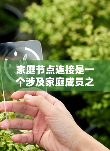 家庭节点连接是一个涉及家庭成员之间互动、数据共享和资源管理的概念。以下是关于家庭节点连接的一些详细信息