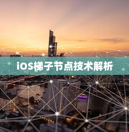 iOS梯子节点技术解析
