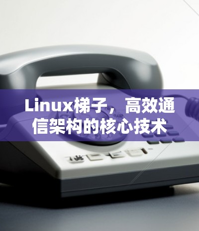 Linux梯子，高效通信架构的核心技术应用