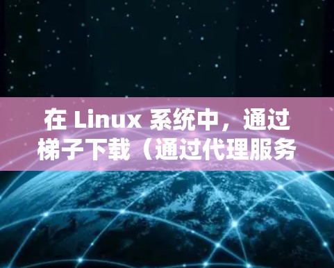 在 Linux 系统中，通过梯子下载（通过代理服务器匿名化流量）可以帮助你访问受限制的网站或保护隐私。以下是使用梯子在 Linux 上下载资源的一些方法