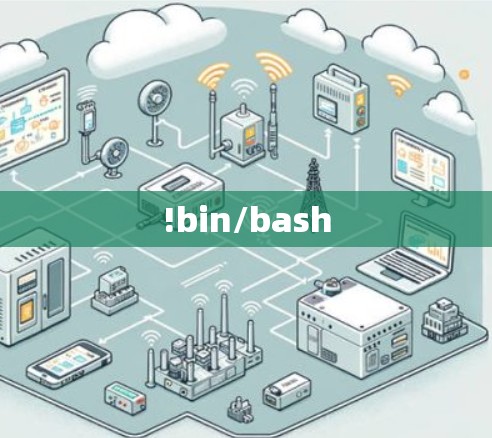 !bin/bash