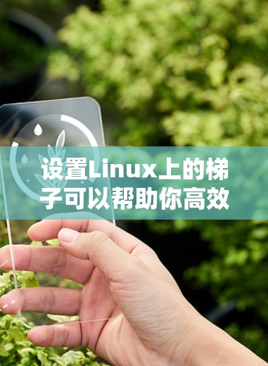 设置Linux上的梯子可以帮助你高效管理多个服务器的连接。下面是详细的步骤指南 设置Linux上的梯子可以帮助你高效管理多个服务器的连接。下面是详细的步骤指南