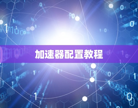 加速器配置教程