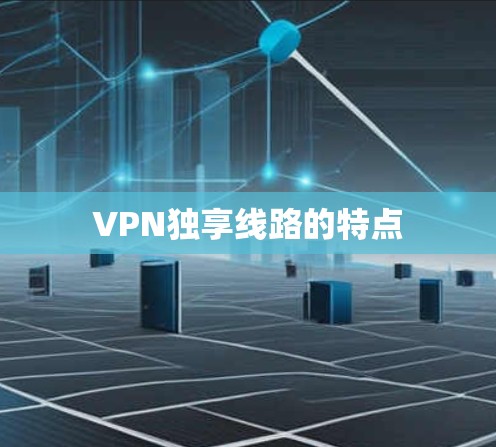 VPN独享线路的特点