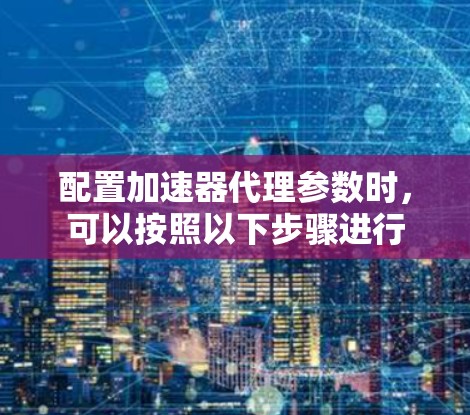 配置加速器代理参数时，可以按照以下步骤进行