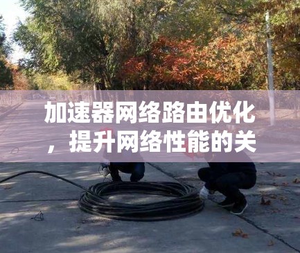 加速器网络路由优化,提升网络性能的关键技术