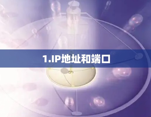 1.IP地址和端口