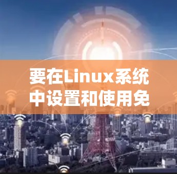 要在Linux系统中设置和使用免费的加速器，可以按照以下步骤进行