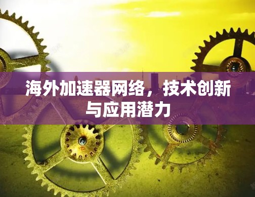 海外加速器网络,技术创新与应用潜力