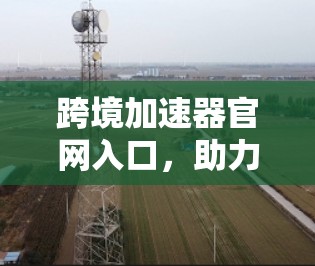 跨境加速器官网入口，助力全球化通道高效运营