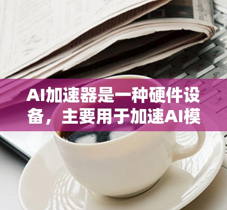 AI加速器是一种硬件设备，主要用于加速AI模型的训练和推理过程。常见的AI加速器包括