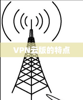 VPN云版的特点