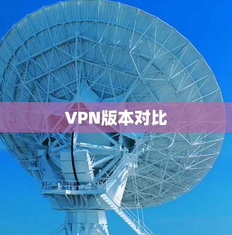 VPN版本对比