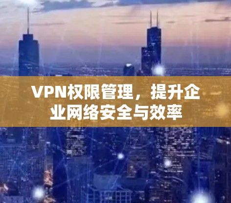 VPN权限管理，提升企业网络安全与效率