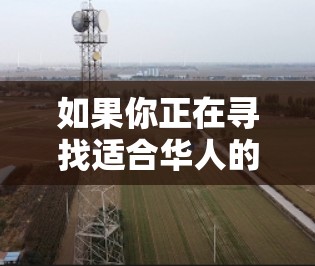 如果你正在寻找适合华人的VPN服务，以下是一些推荐的VPN服务，这些服务在隐私保护、连接速度和可靠性方面表现不错，适合华人用户
