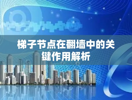 梯子节点在翻墙中的关键作用解析