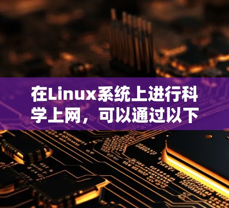 在Linux系统上进行科学上网，可以通过以下几种方法和工具来实现，包括访问学术资源、使用专业工具和遵守网络规范等。以下是一些常用的方法和建议