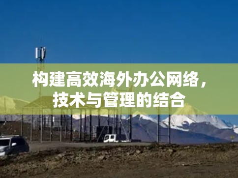 构建高效海外办公网络，技术与管理的结合