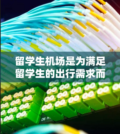 留学生机场是为满足留学生的出行需求而设立的机场,提供针对性服务以便留学生顺利入境和适应新环境。以下是关于不同国家留学生机场的详细分析 留学生机场是为满足留学生的出行需求而设立的机场,提供针对性服务以便留学生顺利入境和适应新环境。以下是关于不同国家留学生机场的详细分析