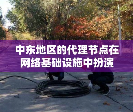中东地区的代理节点在网络基础设施中扮演着重要角色,主要用于优化数据传输和网络连接。以下是对中东代理节点的详细分析