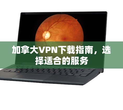 加拿大VPN下载指南，选择适合的服务