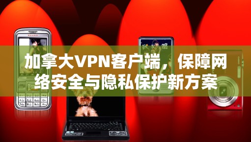 加拿大VPN客户端，保障网络安全与隐私保护新方案