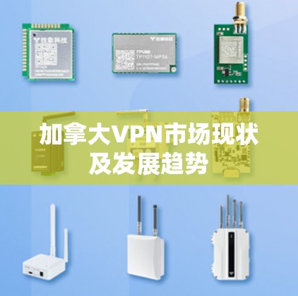加拿大VPN市场现状及发展趋势