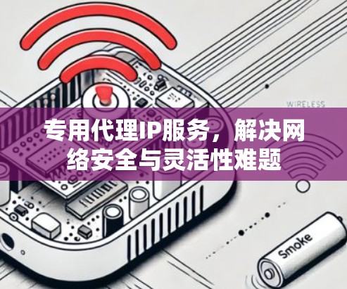 专用代理IP服务，解决网络安全与灵活性难题