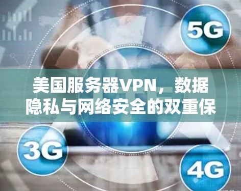 美国服务器VPN，数据隐私与网络安全的双重保障